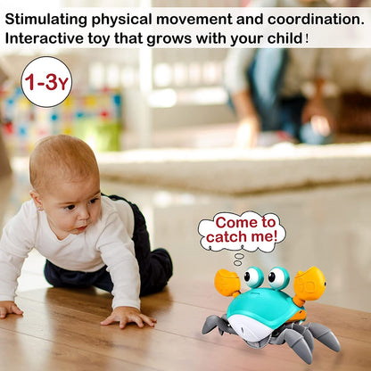 Crawling Crab Sensory Toy