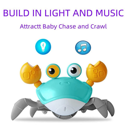 Crawling Crab Sensory Toy