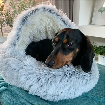 Cozy Pet Bed